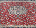 6x9 Red Oriental Persian Style Floral Hand Knotted Wool Area Rug