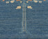 3x5 Blue Kuba Afghan Hand Knotted Wool Area Rug
