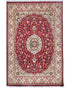 4x6 Oriental Red Persian Style Hand Knotted Wool Area Rug