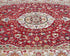 4x6 Oriental Red Persian Style Hand Knotted Wool Area Rug